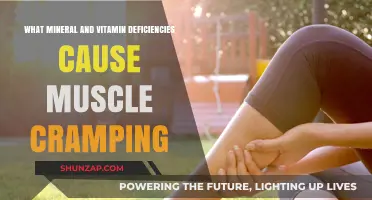Unraveling Muscle Cramps: Key Vitamin and Mineral Deficiencies Explained