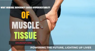 Magnesium Deficiency: The Hidden Cause of Muscle Hyperexcitability Explained