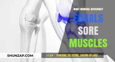 Sore Muscles? Discover the Mineral Deficiency Causing Your Discomfort