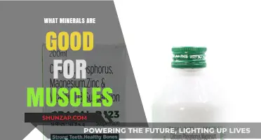 Essential Minerals for Optimal Muscle Health and Function