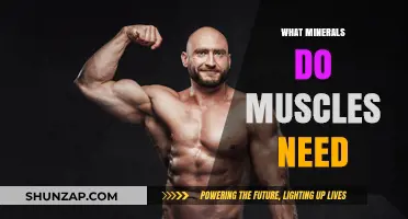 Minerals for Muscle Health: Essential Elements for Performance