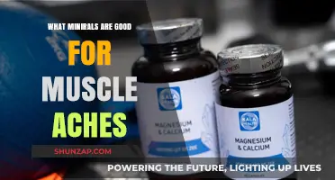 Nature's Remedies: Essential Minerals to Ease Muscle Aches