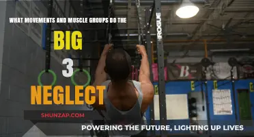 Uncovered: Muscle Groups and Movements Missed by the Big 3 Lifts