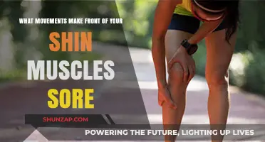 Shin Splints Unveiled: Exercises That Target Your Anterior Tibialis