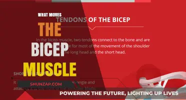 How to Move Your Bicep Muscle Efficiently