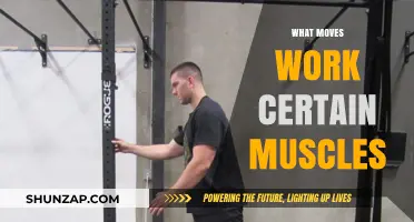 Targeted Muscle Activation: Exercises to Engage Specific Muscle Groups