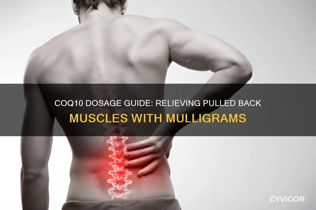 what mulligrams of co q 10 for pulled back muscles