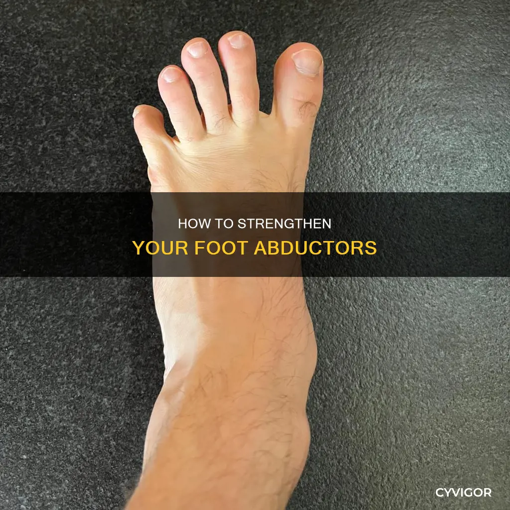 what muscle abducts the foot