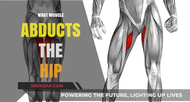 Hip Abduction: Which Muscles Are Responsible?
