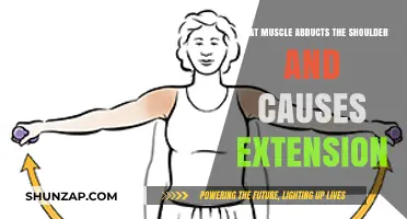 Understanding the Muscles Behind Shoulder Abduction and Extension