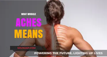 Understanding Muscle Aches: What Your Body is Telling You