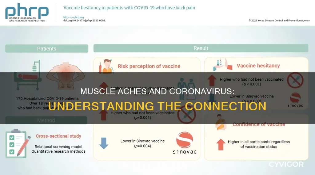what muscle aches with coronavirus