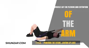 Muscles Driving Arm Flexion and Extension: A Comprehensive Guide