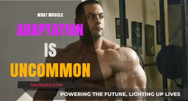 Uncommon Muscle Adaptations: What You Need to Know