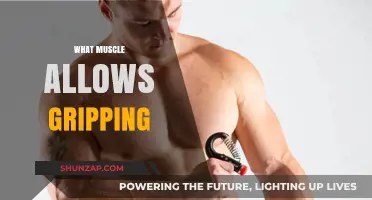 Understanding the Intricacies of Hand Grip Strength