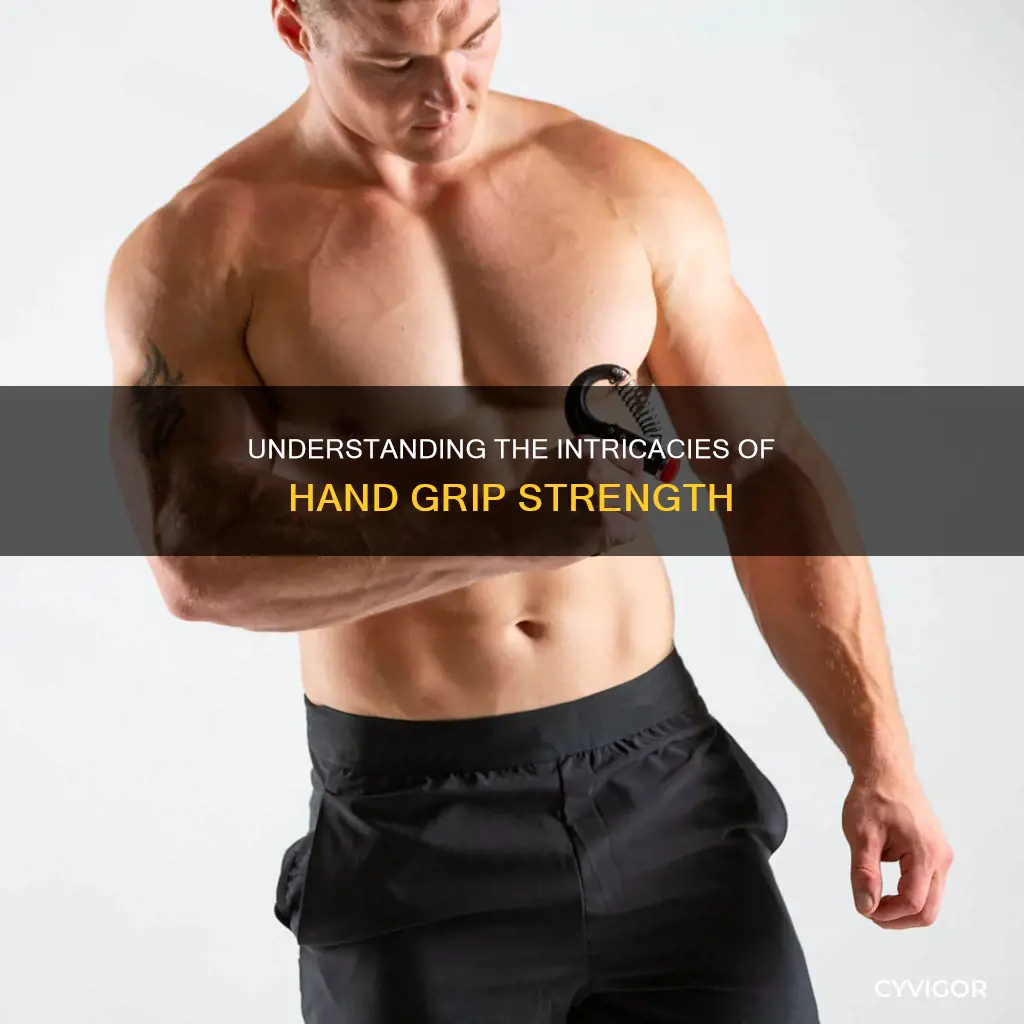 what muscle allows gripping