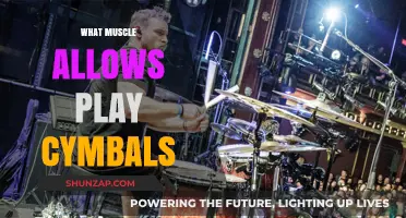 Cymbal Playing: Which Muscles Are Key?