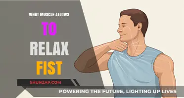 Relax Your Grip: The Muscle Behind Fist Relaxation Explained