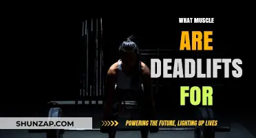 Deadlifts: Targeting Back, Shoulders, and Core Muscles