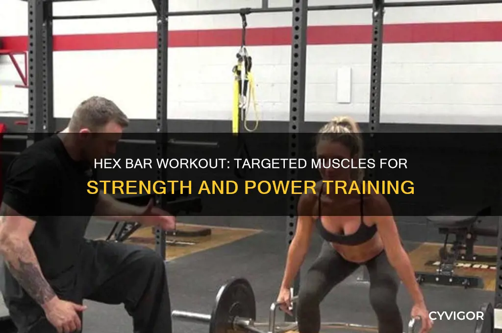 what muscle are worked with hex bar