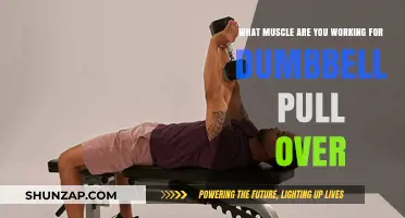 Dumbbell Pullover Muscles: Targeting Chest, Back, and Core Strength