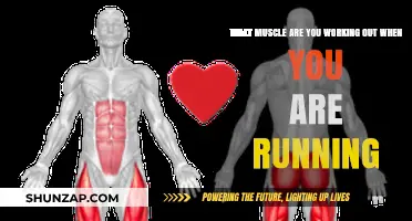 Running's Muscle Impact: Unveiling the Key Muscles You Engage While Running