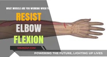 Resisting Elbow Flexion: Targeting the Brachioradialis Muscle for Strength