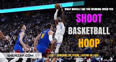 Muscles Engaged When Shooting a Basketball Hoop: A Breakdown