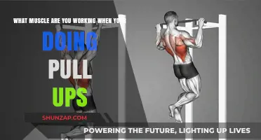 Mastering Pull-Ups: Targeted Muscles and Strength-Building Benefits