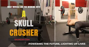 Skull Crushers: Targeting Triceps Muscles for Strength and Definition