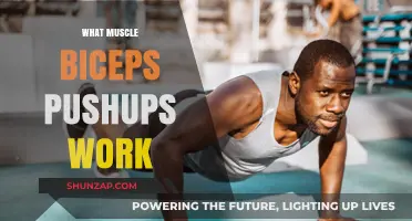 Biceps Pushups: Targeted Muscles and Effective Workout Benefits