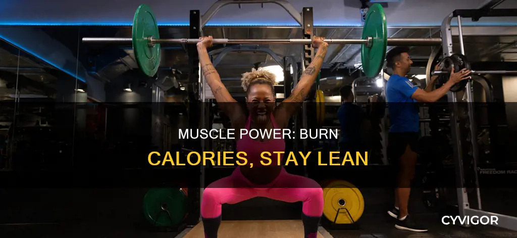 what muscle burns calories