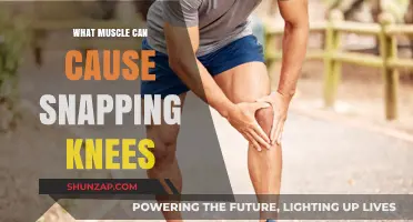 Snapping Knees: Identifying the Culprit Muscle Behind the Popping Sound