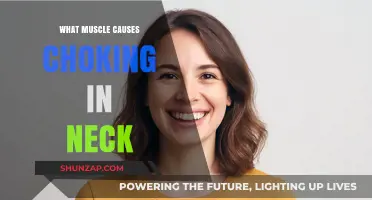 Understanding the Muscles in Your Neck That Can Cause Choking