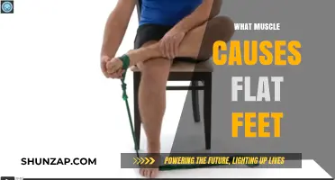 Understanding Flat Feet: The Role of the Tibialis Posterior Muscle