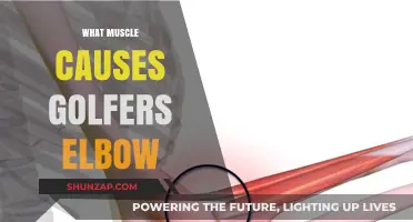 Understanding Golfer's Elbow: The Role of the Flexor-Pronator Muscles