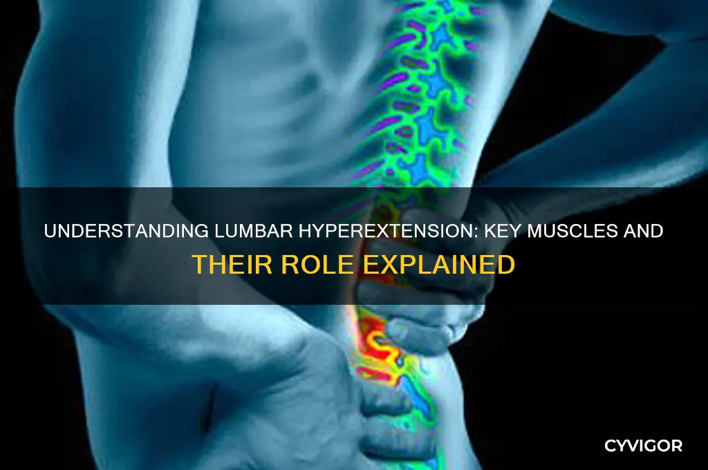 what muscle causes lumbar hyperextension