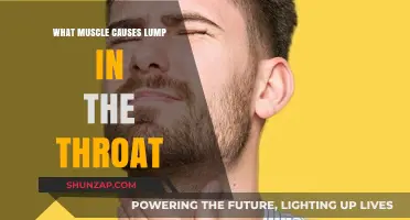 Understanding the Muscle Behind That Persistent Lump in Your Throat