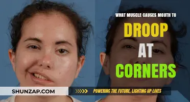 Understanding the Facial Muscles Behind Drooping Mouth Corners