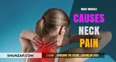 Unraveling Neck Pain: Key Muscles Responsible and How to Relieve Them