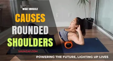 Unraveling Rounded Shoulders: Key Muscles and Postural Imbalances Explained