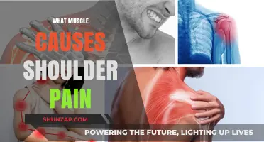Unraveling Shoulder Pain: Key Muscles Responsible and Relief Strategies
