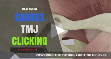 Unraveling TMJ Clicking: The Role of Muscles in Jaw Joint Sounds