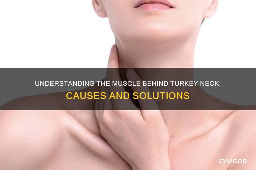 what muscle causes turkey neck