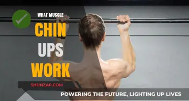 Chin Ups: Targeted Muscles and Benefits for Upper Body Strength