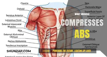 How to Compress Your Abs: Muscle Activation