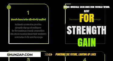 Maximize Strength Gains: Optimal Muscle Contraction Techniques Revealed