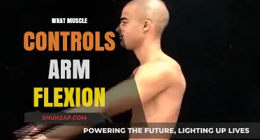 Understanding Arm Flexion: The Key Muscle Behind This Movement