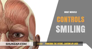 How Your Face Muscles Create a Smile