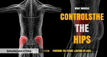 Unlocking the Power of Hip Abduction